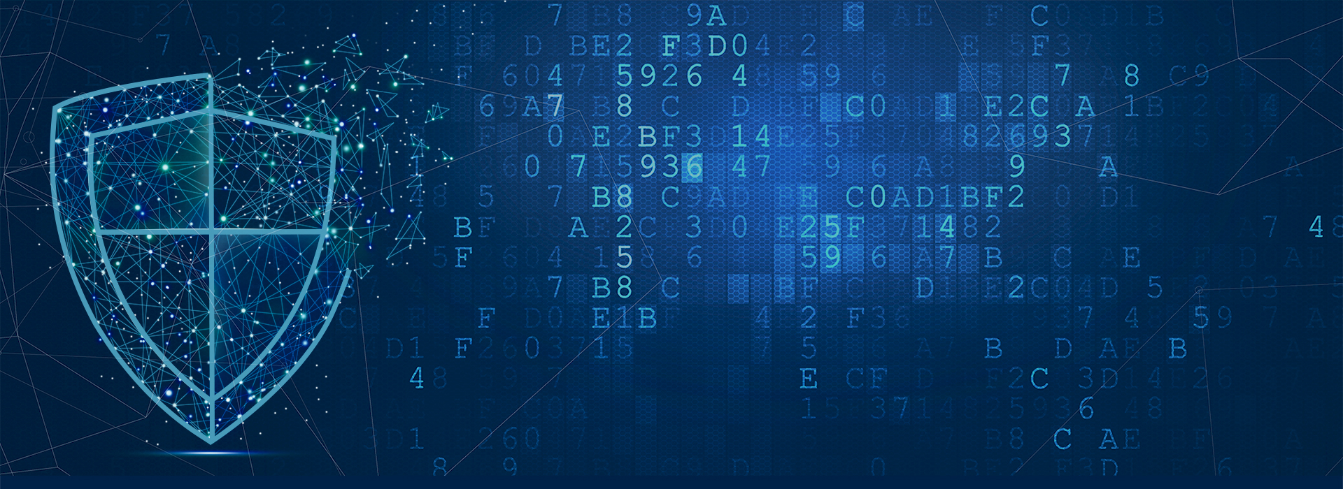 互聯(lián)網(wǎng)科技網(wǎng)絡(luò)安全